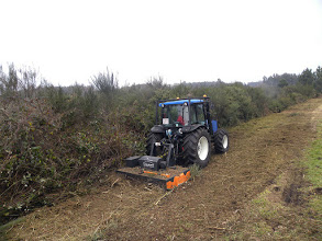 Nettoyage de parcelles au gyrobroyeur, au tracteur